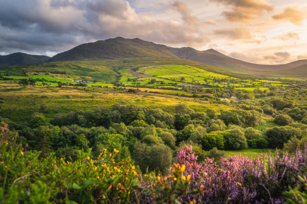 Ireland — ️ Nature &amp; Scenery