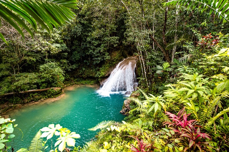 Jamaica — Costs &amp; Budget