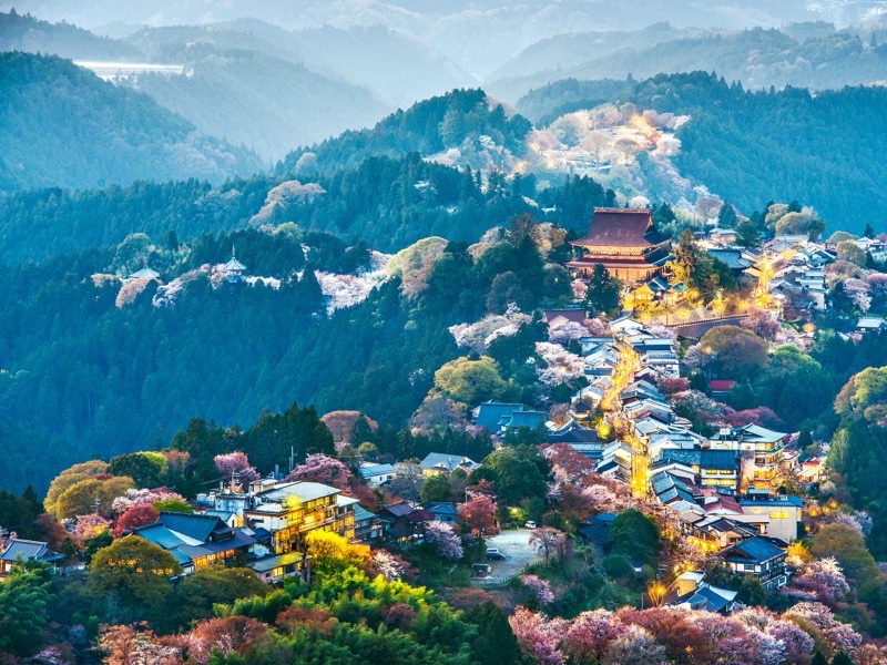 Japan travel destination