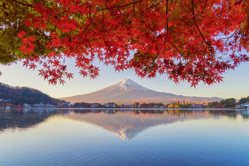 Japan travel destination