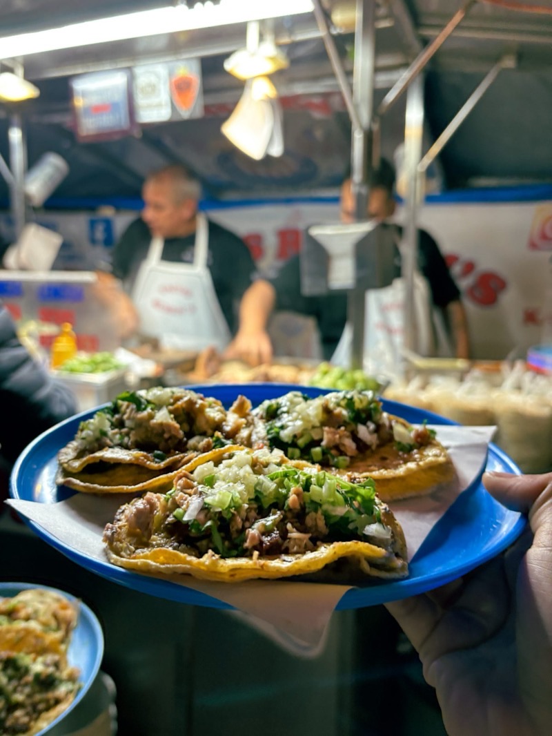 Mexico — Food Experience