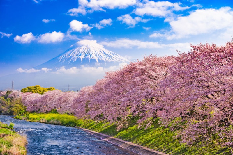 Mount Fuji reflected in a lake — Japan's most iconic natural landmark