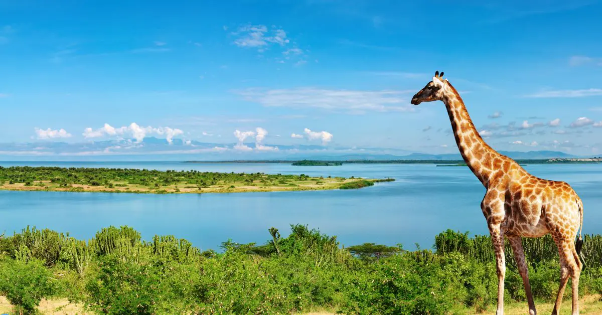 Kampala travel destination