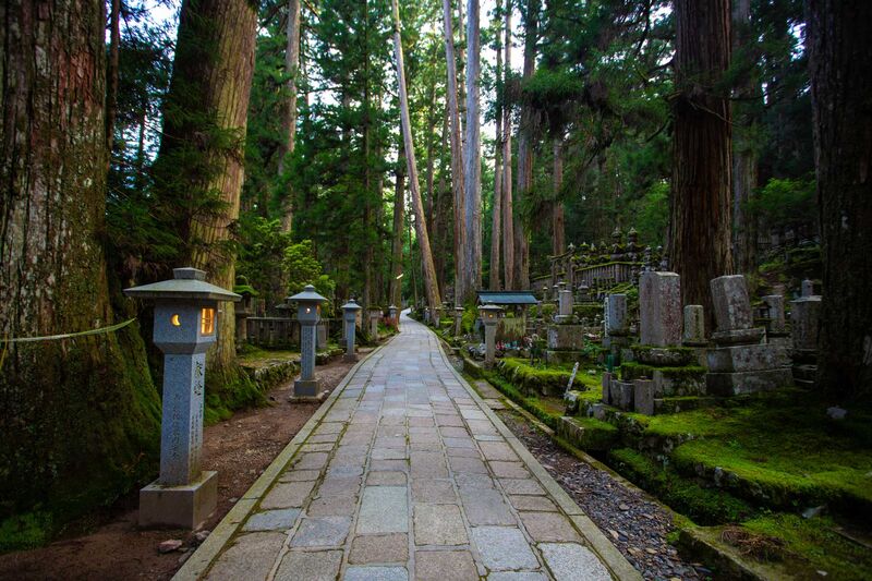 The ancient stone lanterns lining the path to Okunoin cemetery at Koyasan — Japan's largest cemetery and most sacred Shingon Buddhist site
