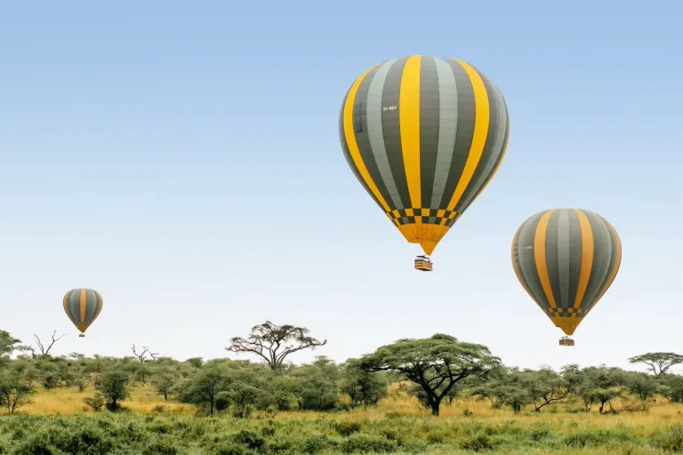 Serengeti travel destination