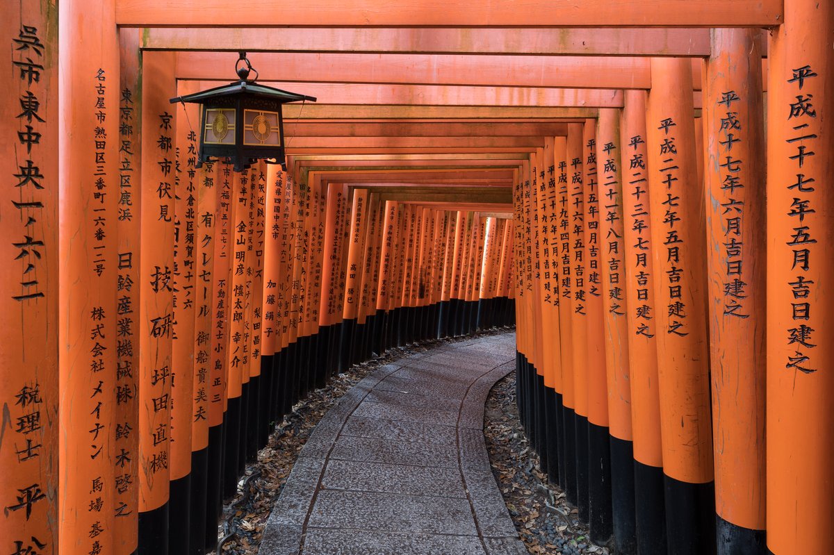 Fushimi Inari torii gates with lantern lighting at dusk, Kyoto, Japan