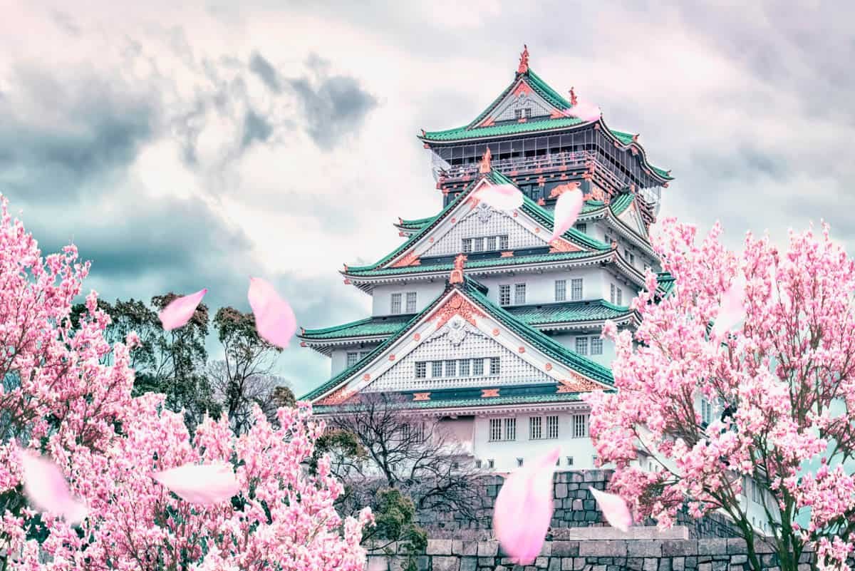 Osaka Castle surrounded by cherry blossom trees in spring