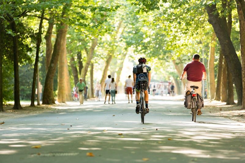 Cyclists riding through Amsterdam's Vondelpark on a sunny day with lush greenery