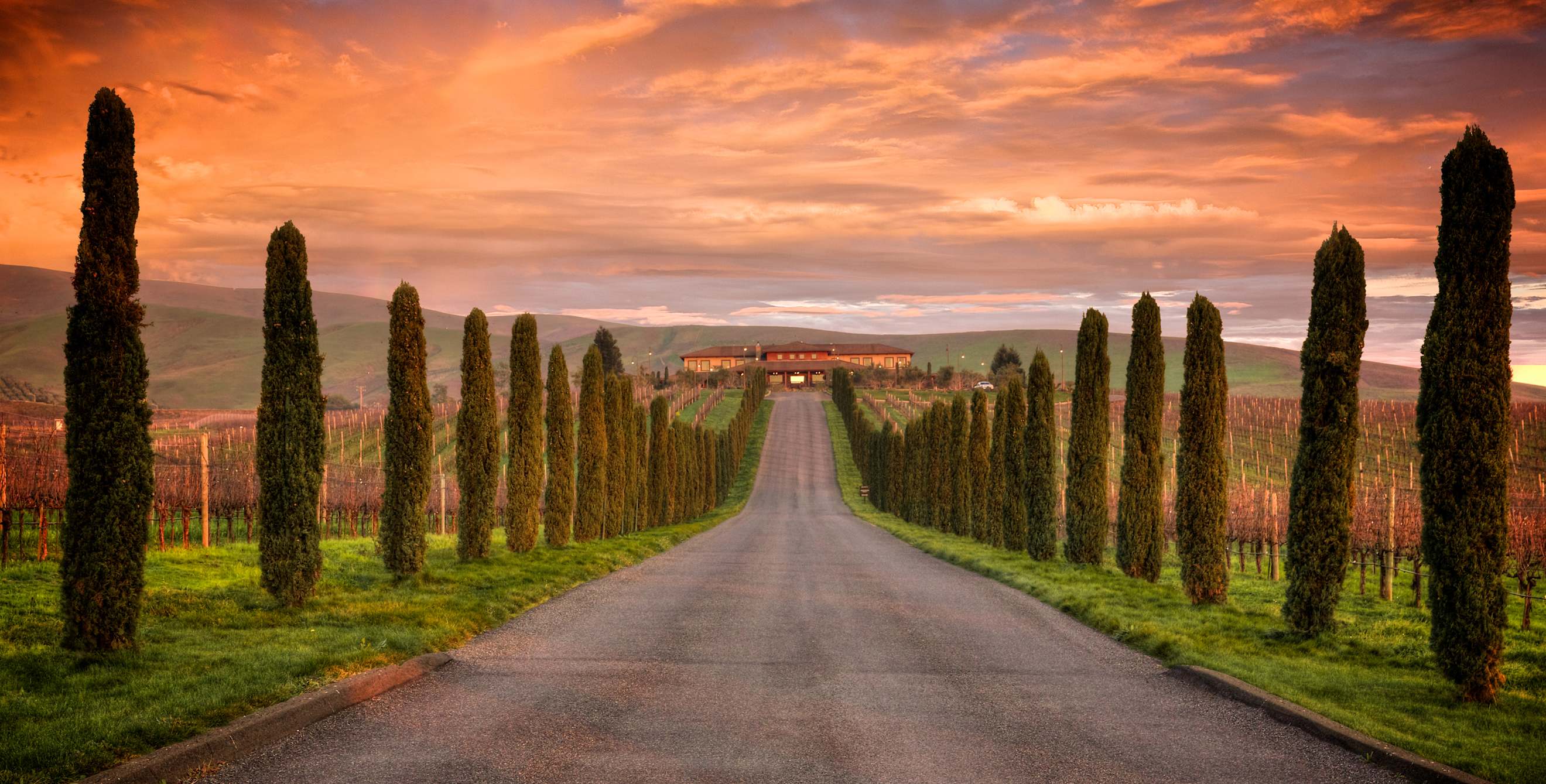 Napa travel destination