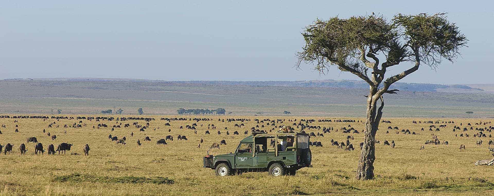 Masai Mara travel destination