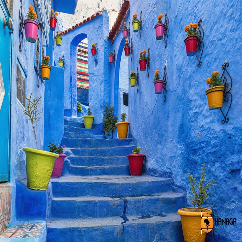 Chefchaouen, Morocco — the Blue City's narrow medina alleyways painted in shades of blue and white, nestled in the Rif Mountains
