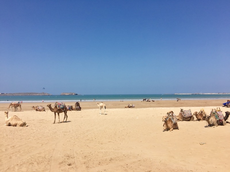 Morocco — ️ Beaches