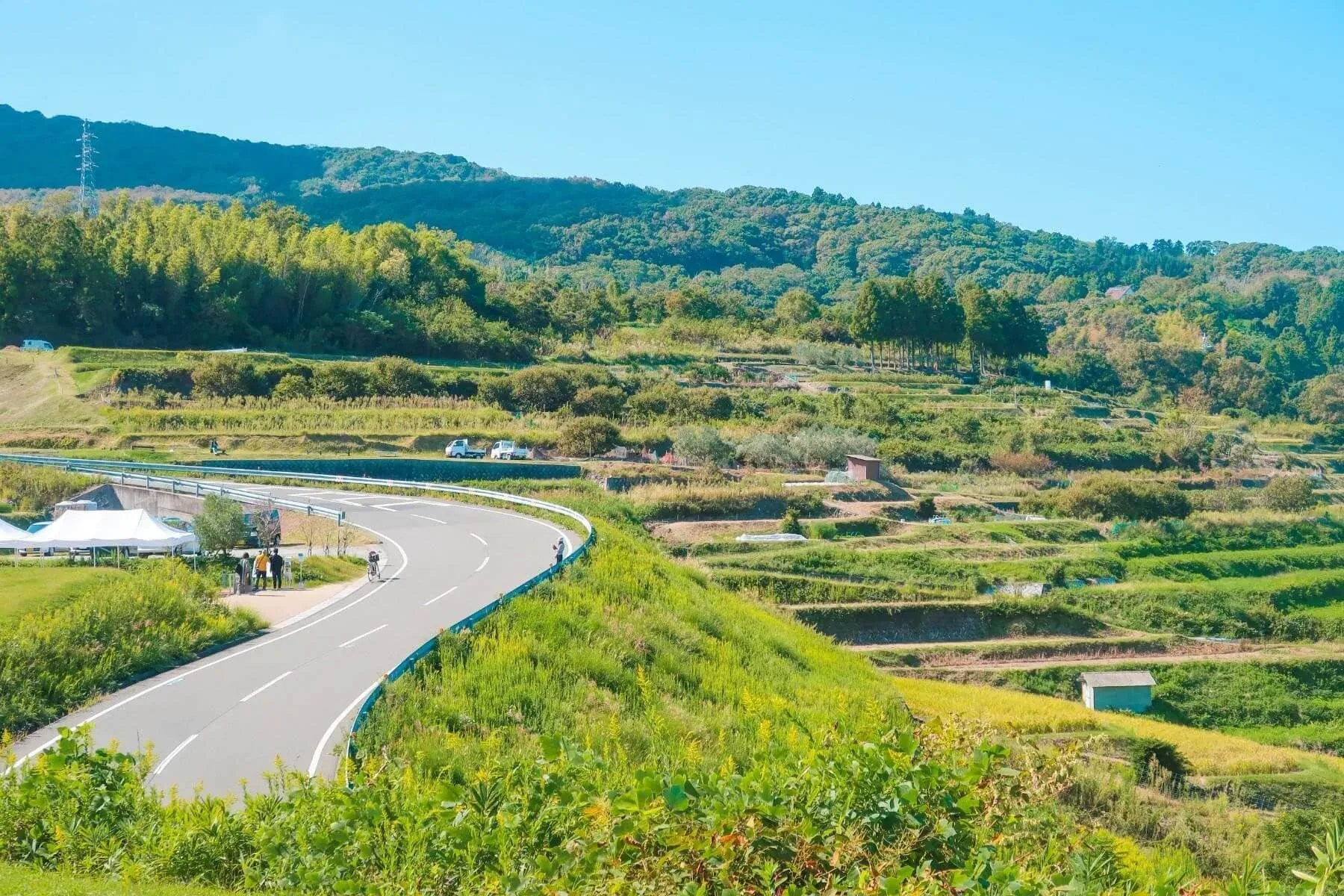 Teshima island rice terrace landscape with ocean view, Setouchi Japan
