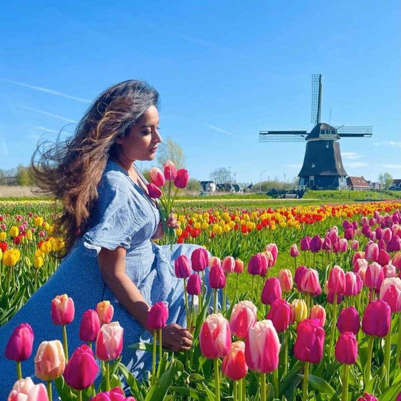 Netherlands — Nature &amp; Outdoors
