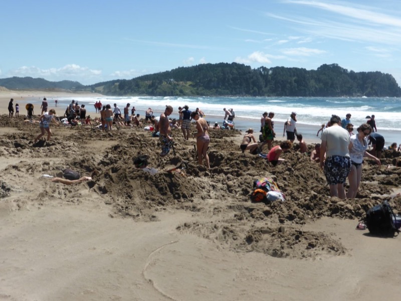 New Zealand — ️ Beaches &amp; Water