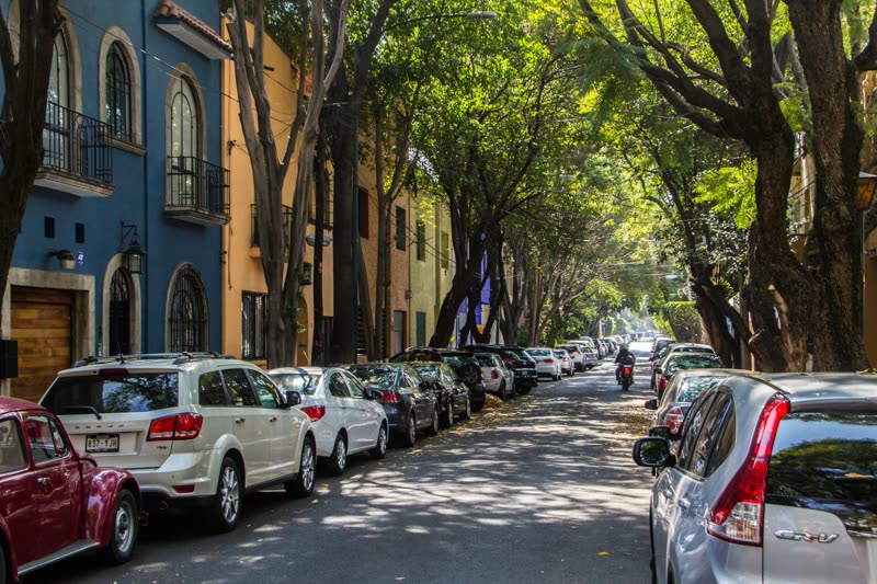 Mexico City Roma Condesa neighborhood street with trees and cafes