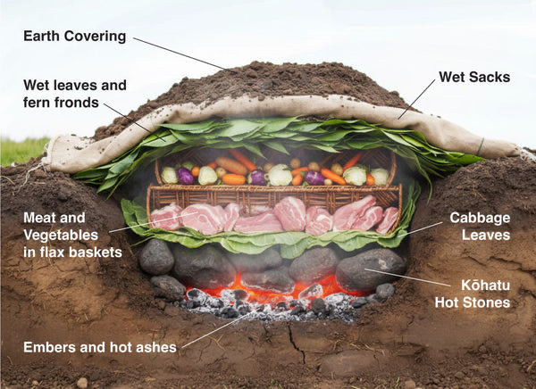 New Zealand — ️ Food &amp; Drink