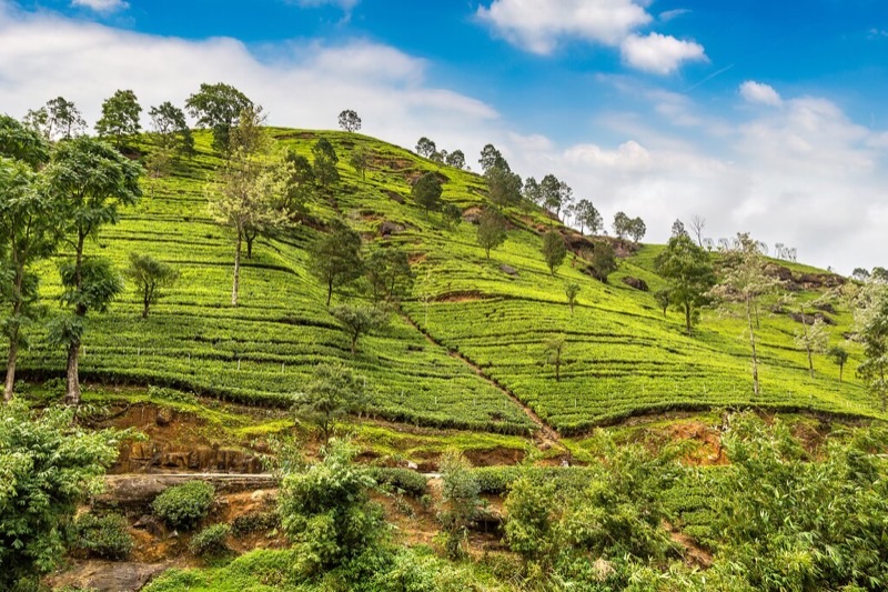 Sri Lanka — ️ Nature &amp; Scenery