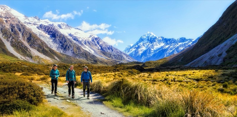 New Zealand — ‍♀️ Safety &amp; Solo Travel