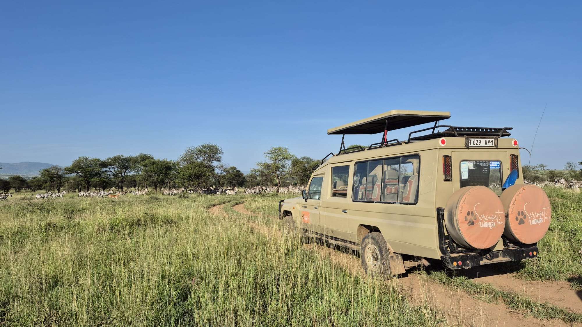 Serengeti travel destination