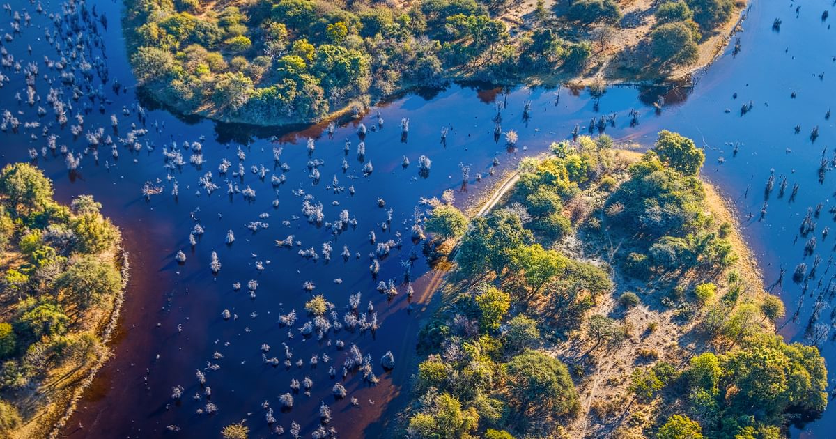 Okavango travel destination
