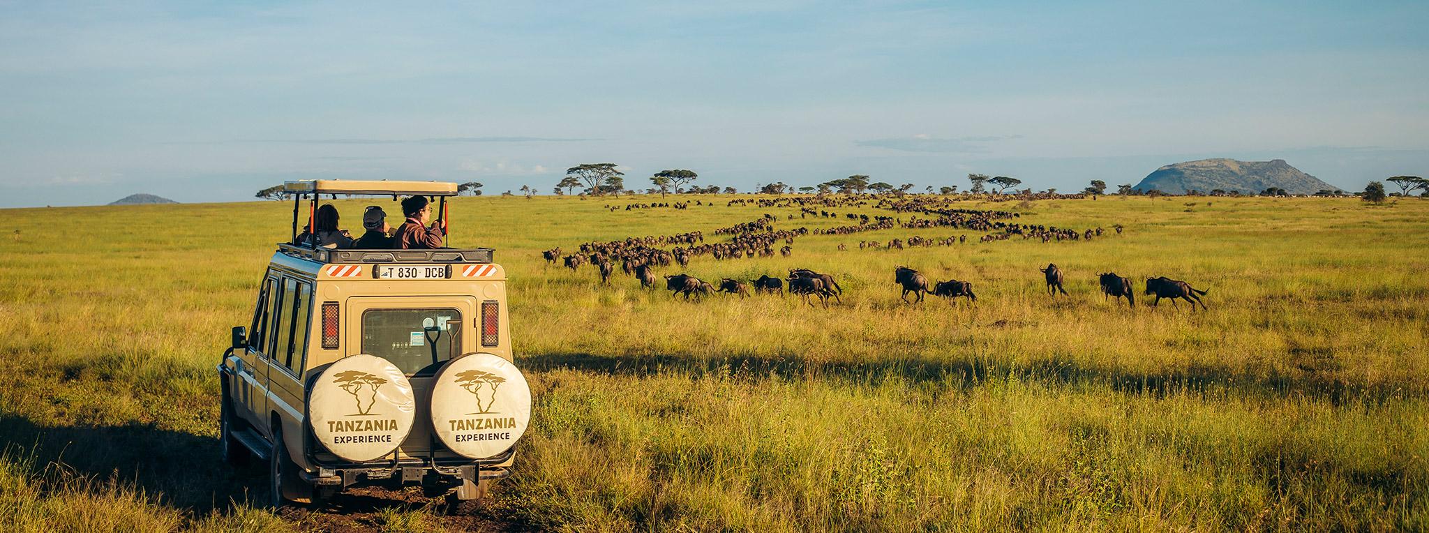 Serengeti travel destination
