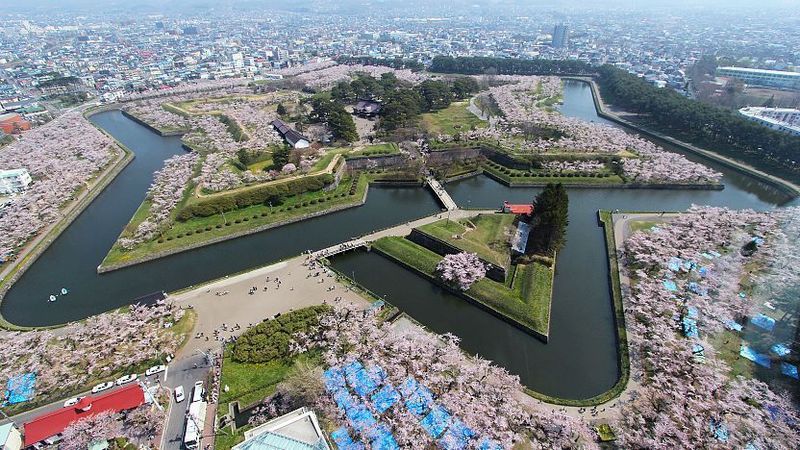 Goryokaku star-shaped fort in Hakodate from the observation tower, surrounded by cherry blossoms