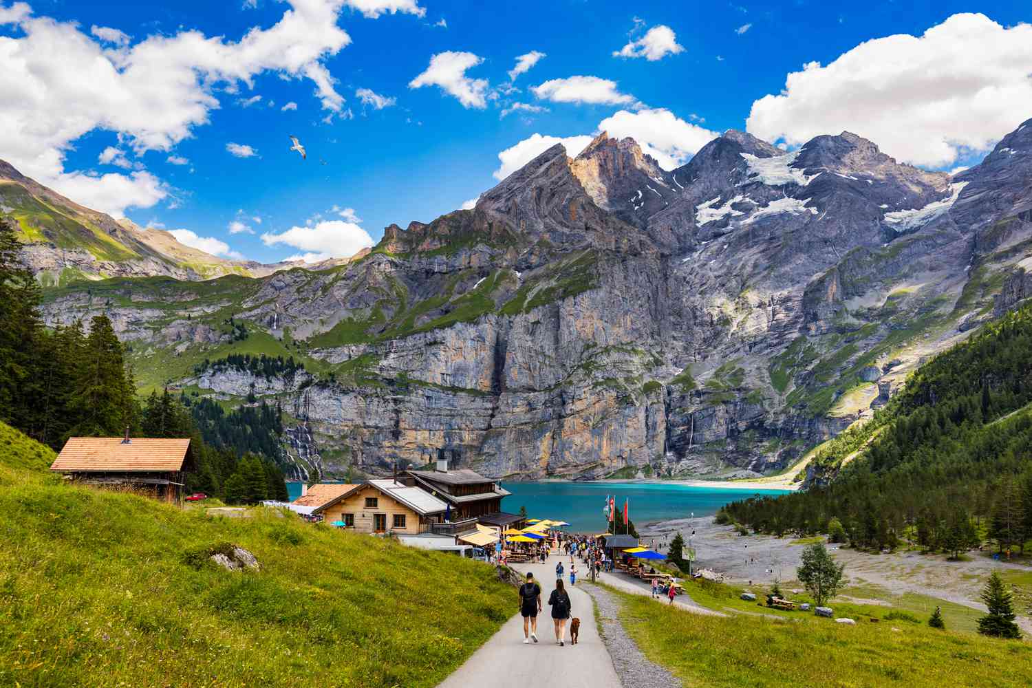 Swiss Alps travel destination