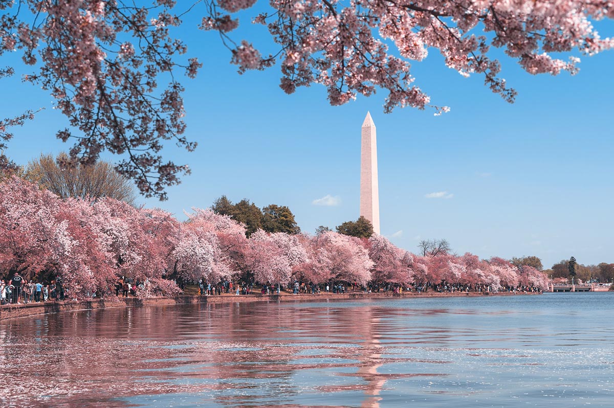 Washington Dc travel destination
