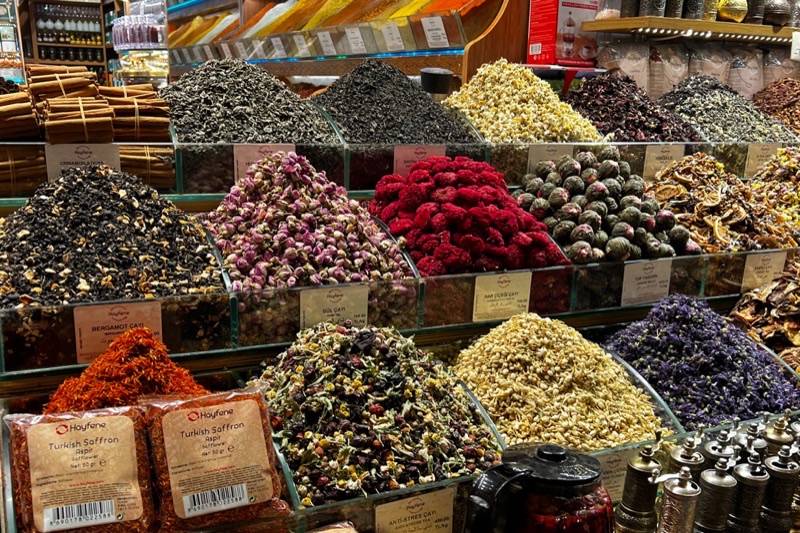 Turkey — Costs & Budget