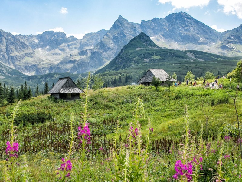 Poland — ️ Nature & Outdoors