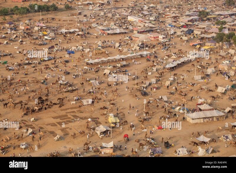 Pushkar Camel Fair aerial view, Rajasthan