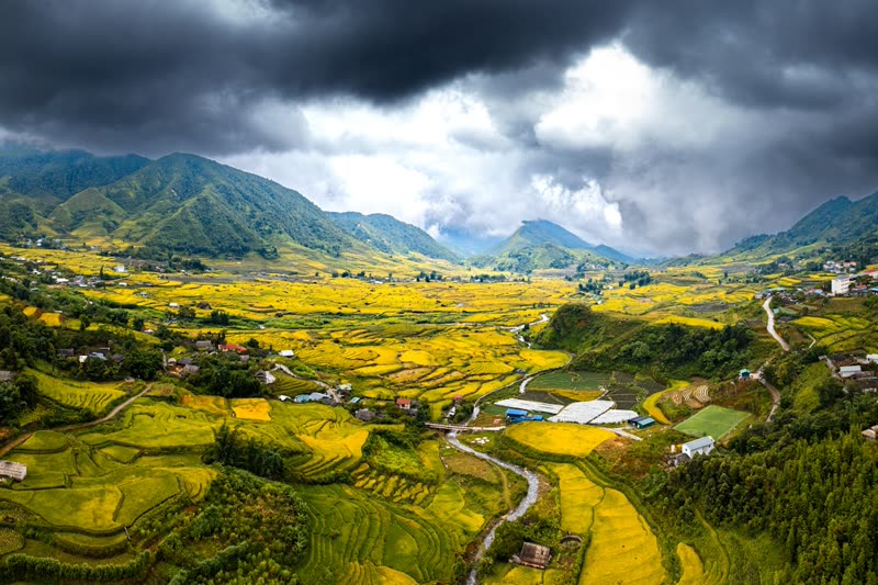 Sapa's terraced rice fields cascading down mountain slopes in northern Vietnam's Hoang Lien Son range