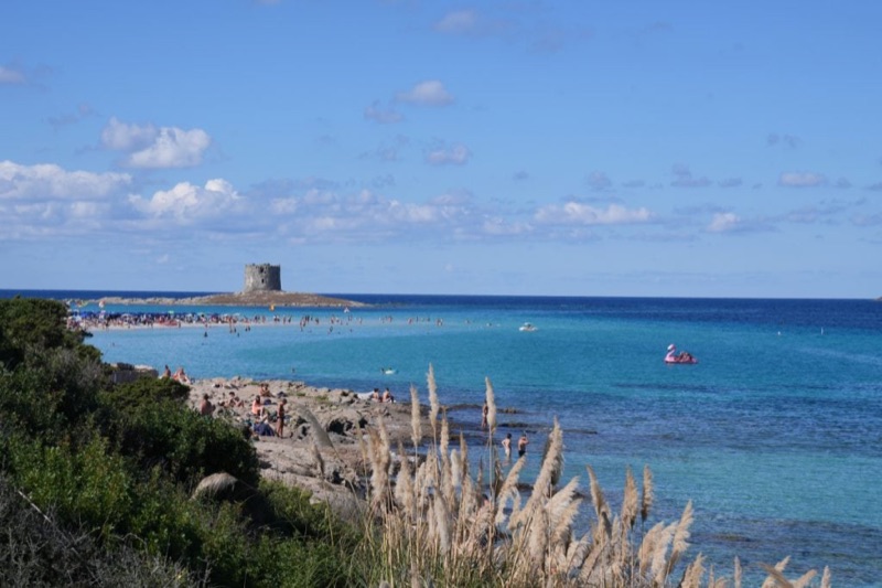 Crystal-clear turquoise water at a Sardinian beach near Alghero, with white sand and dramatic limestone cliffs