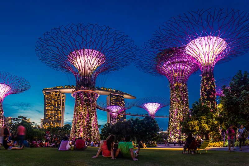 Singapore Gardens by the Bay supertrees at dusk — futuristic vertical gardens illuminated against the twilight skyline