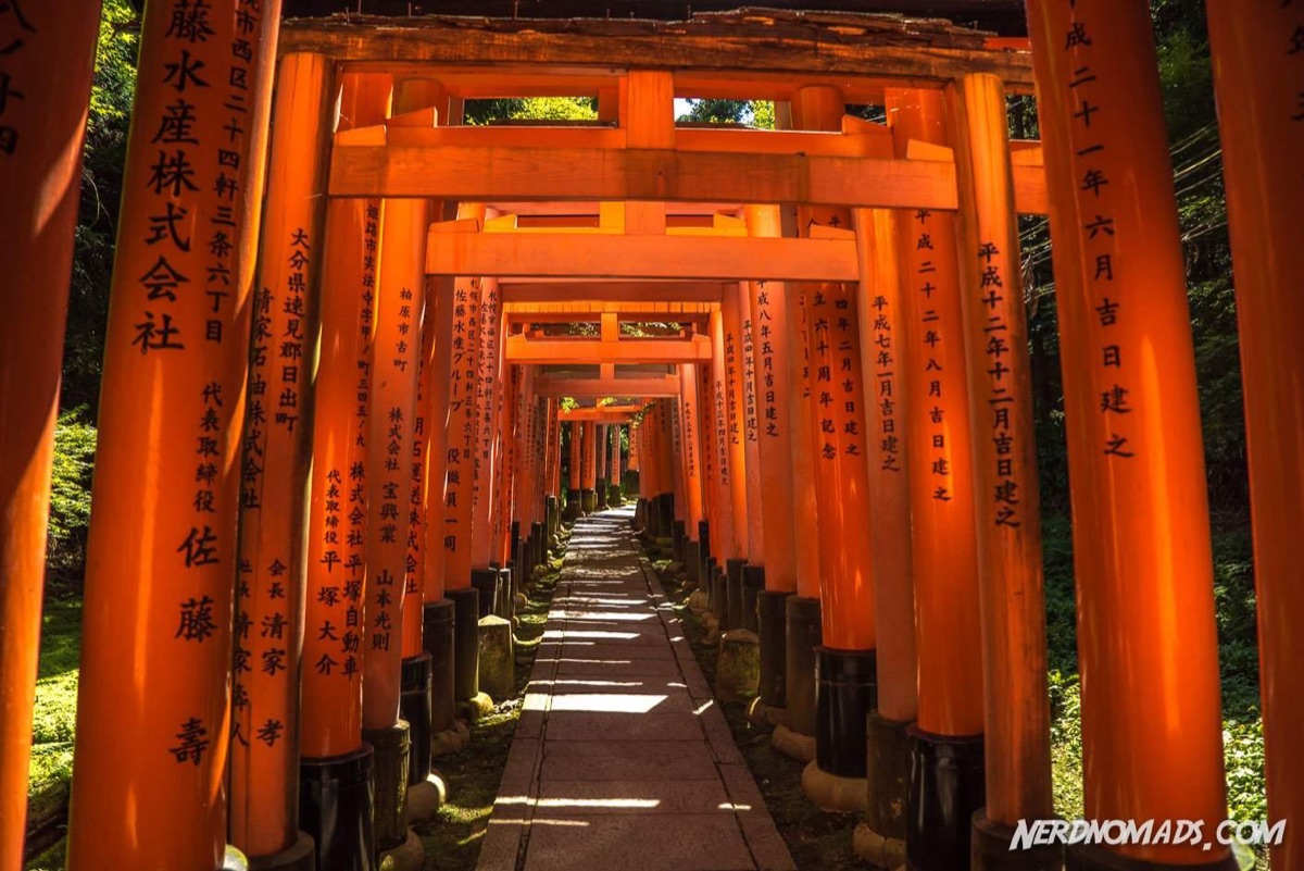 Fushimi Inari torii gates in Kyoto — thousands of vermillion gates winding up Mount Inari