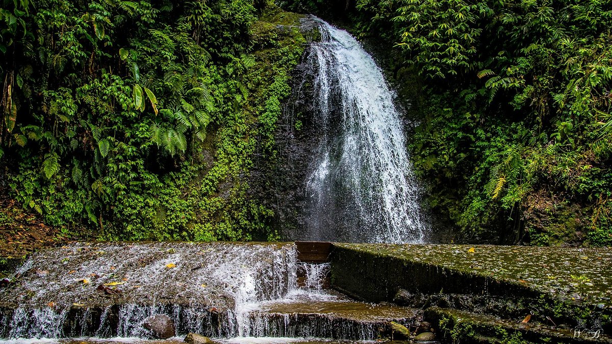 Martinique travel destination