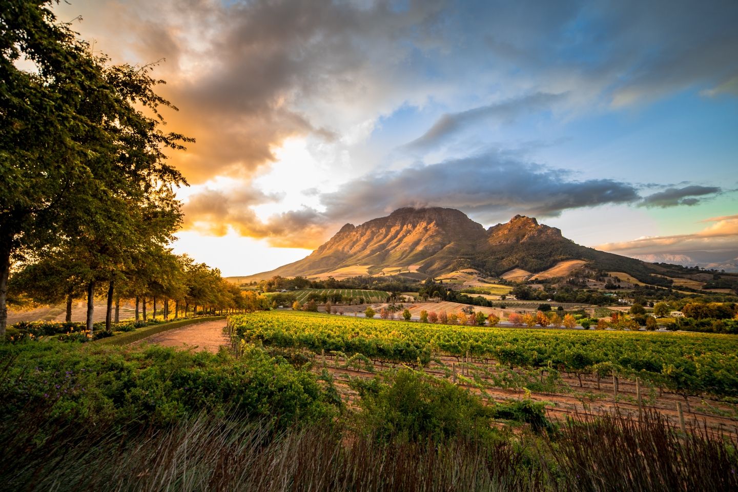 Stellenbosch travel destination