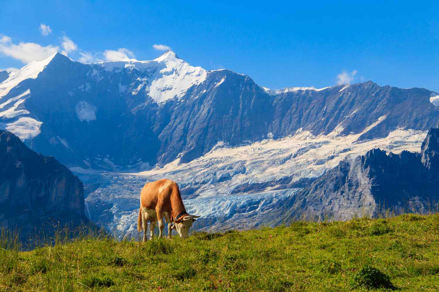 Swiss Alps travel destination