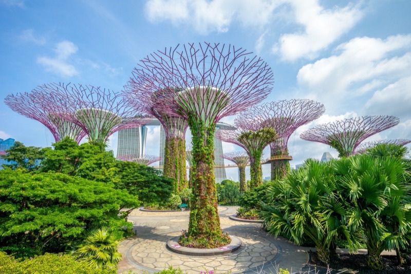 Singapore travel destination