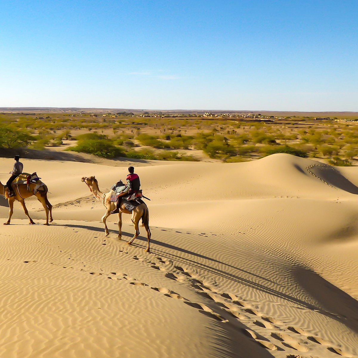 Thar Desert travel destination