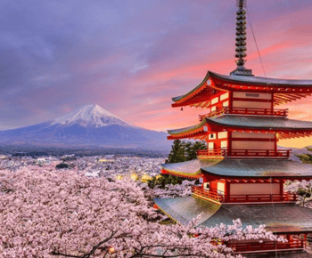 Tokyo travel destination