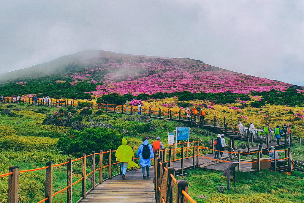 Jeju travel destination