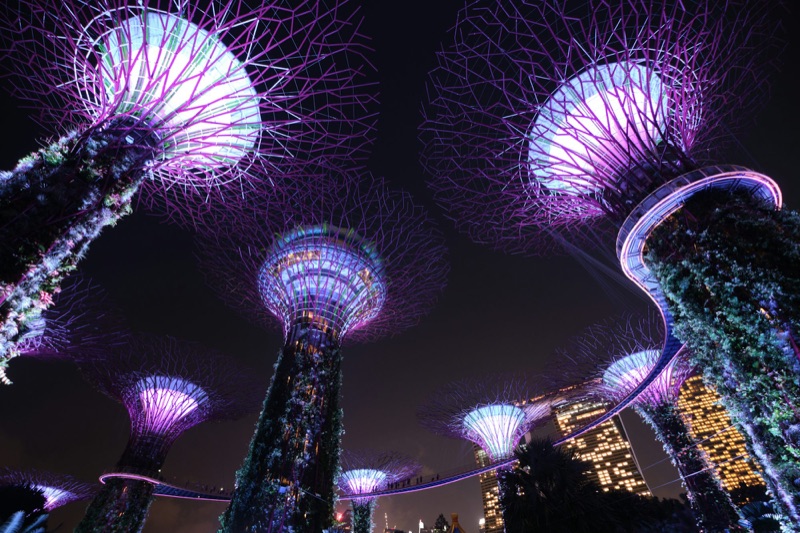 Gardens by the Bay Supertree Grove, Singapore — iconic futuristic landmark