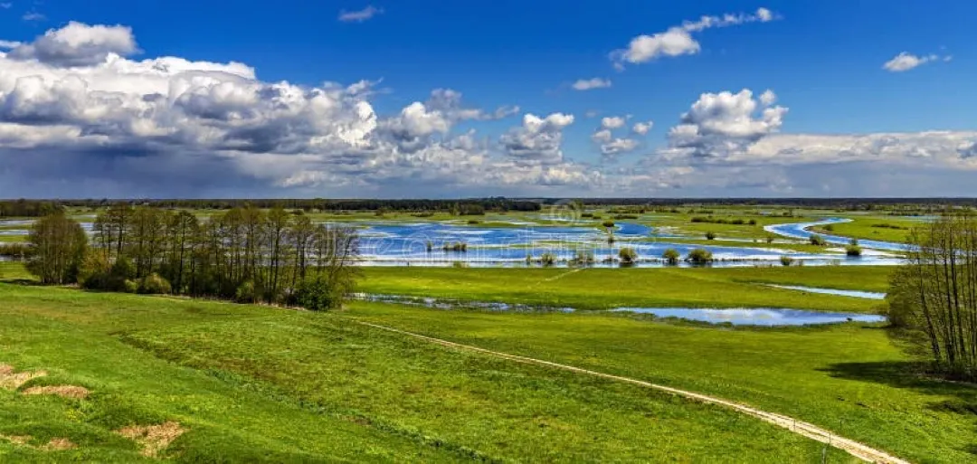Biebrza National Park