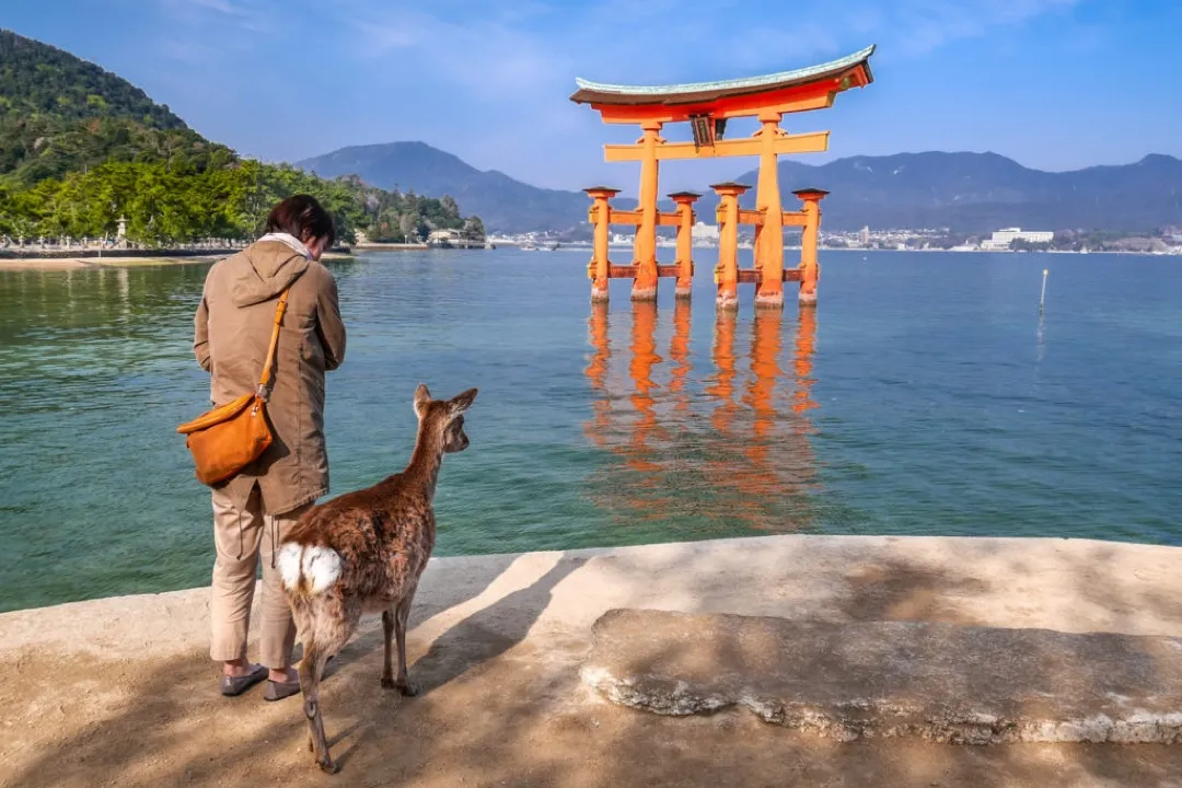City skyline and urban energy of Hiroshima