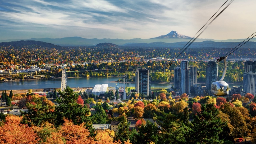 12 Best Portland's Legendary Donut Shops
