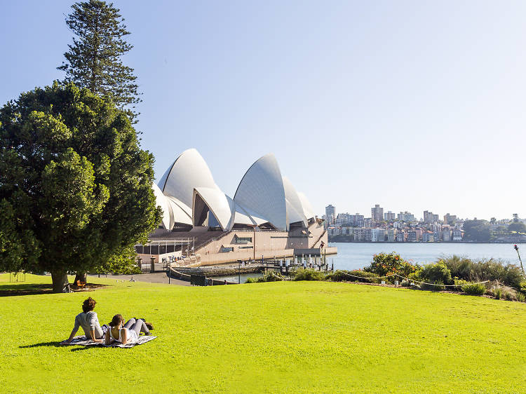Coastal beauty and beaches of Sydney