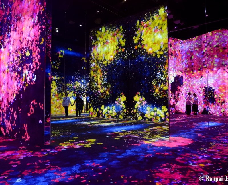 teamLab Borderless & Shibuya Electric, Japan