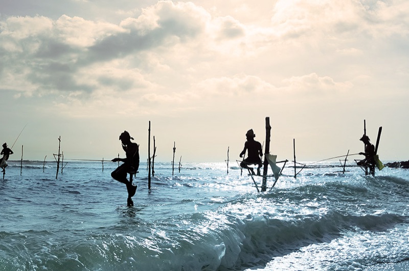 Arrive in Colombo — First Taste of the Pearl of the Indian Ocean, Sri Lanka & Maldives